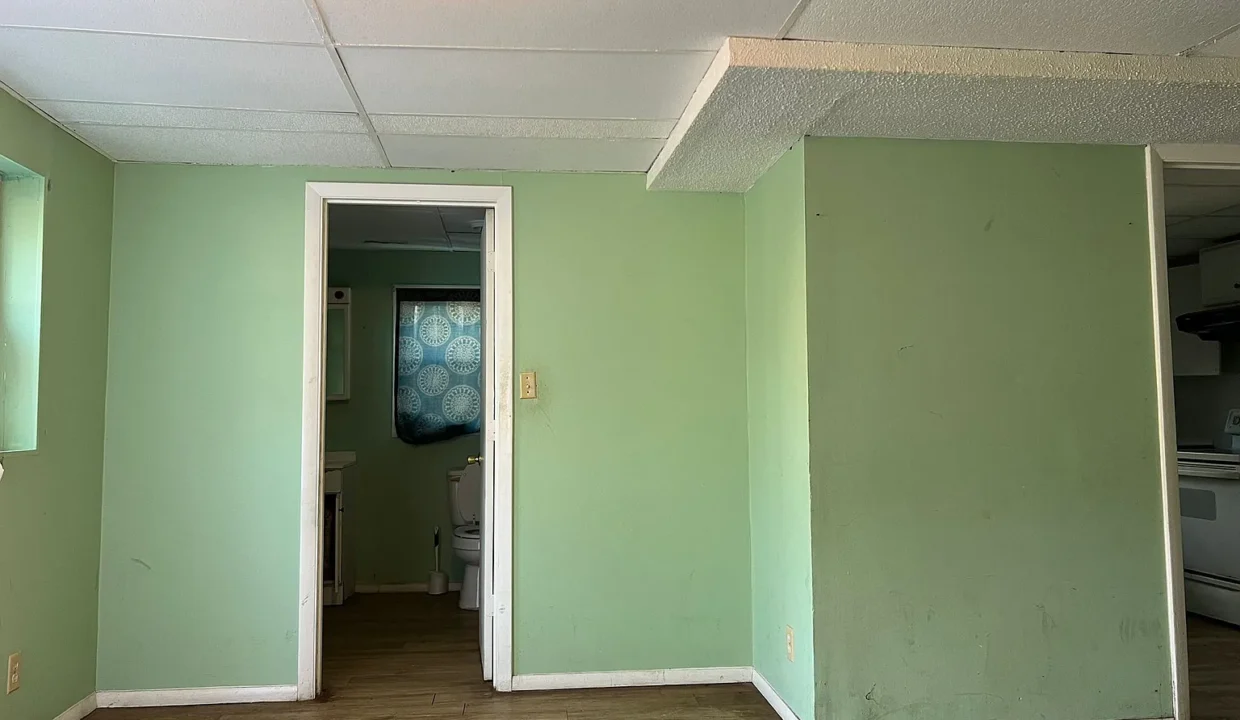 28e71ffb688815c5ebb808fef00c1c22-uncropped_scaled_within_1536_1152