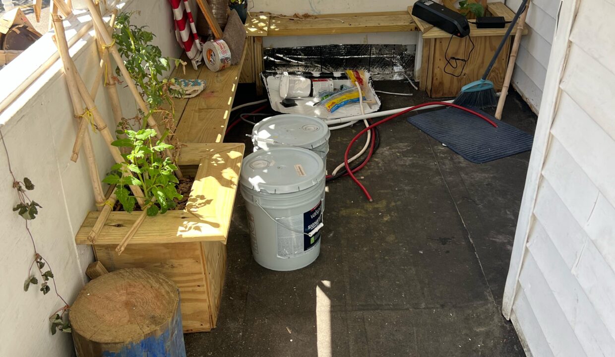 WhatsApp Image 2025-09-12 at 12.20.06 PM