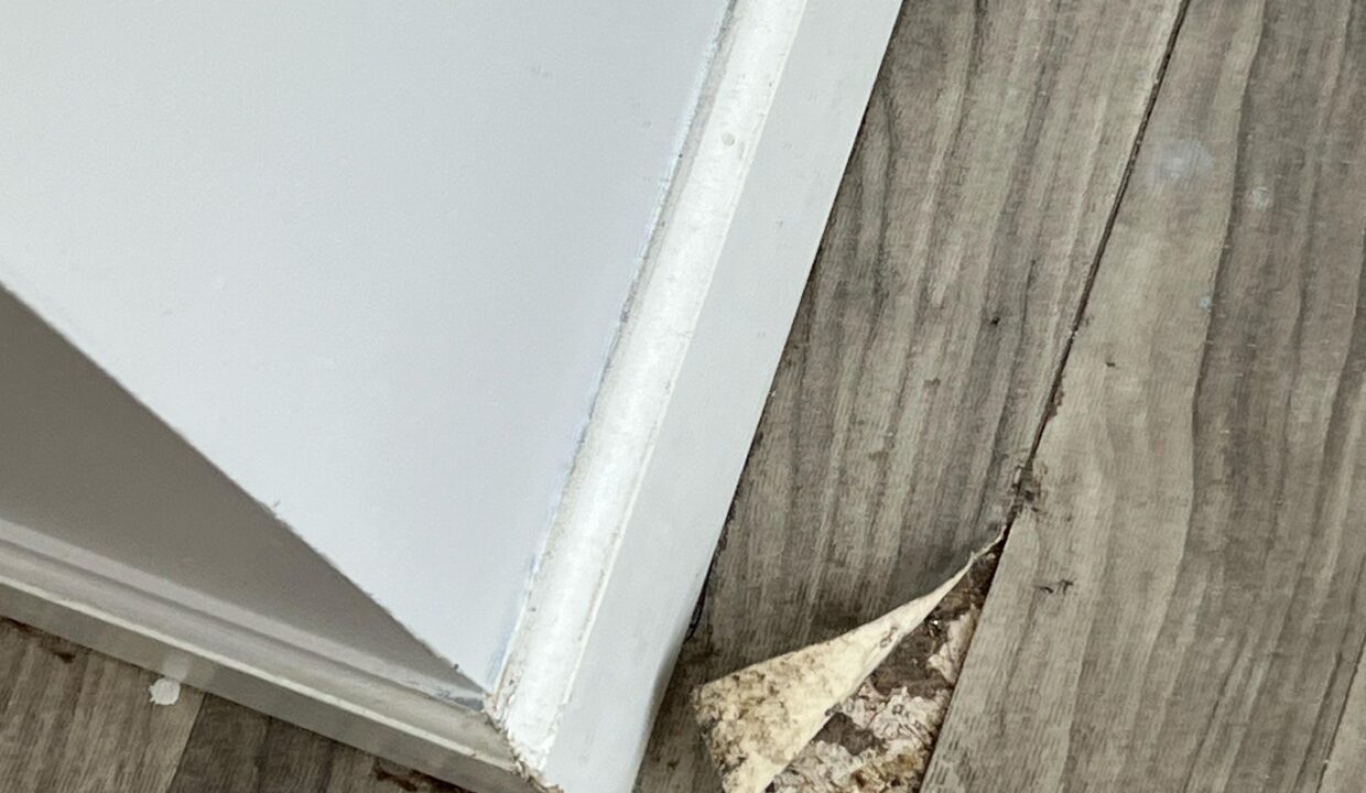 WhatsApp Image 2025-09-12 at 12.20.08 PM (4)