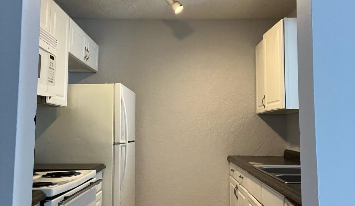 WhatsApp Image 2026-01-27 at 5.51.04 PM