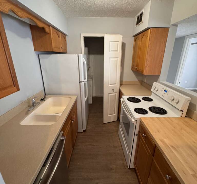 WhatsApp Image 2026-03-05 at 15.44.21 (4)