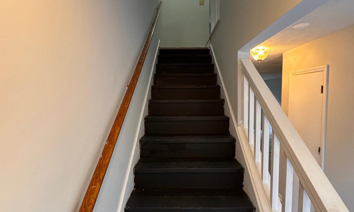 WhatsApp Image 2026-03-05 at 17.01.56 (3)